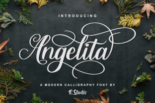 Angelita: The Modern Calligraphy Typeface for Campaign Clarity