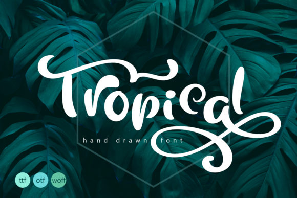 Tropical: The Premium Font That Elevates Small Business Branding